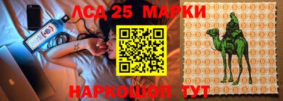 ALPHA PVP Гатчина