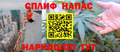 ALPHA PVP Гатчина