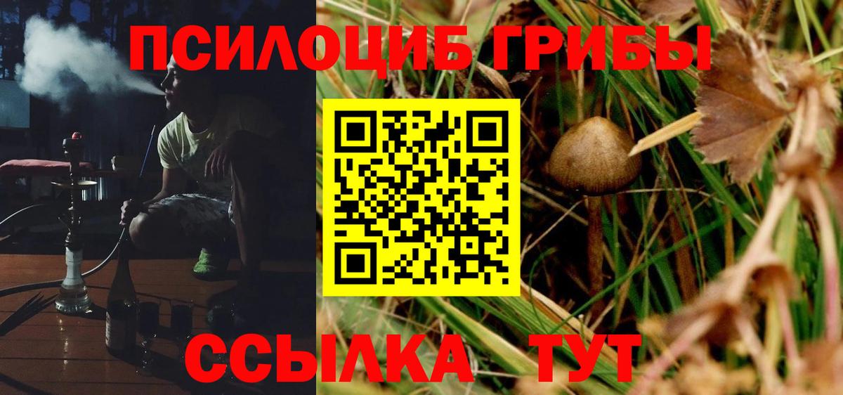 Галлюциногенные грибы прущие грибы  Галлюциногенные грибы прущие грибы  Вход с VPN  Кропоткин 