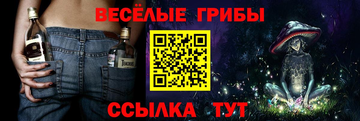 Псилоцибиновые грибы GOLDEN TEACHER Кропоткин